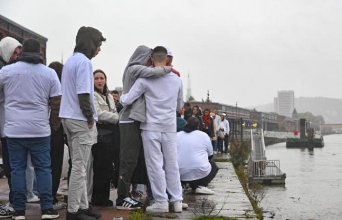 White march after the death of Owen in Rouen: “It could be my son”