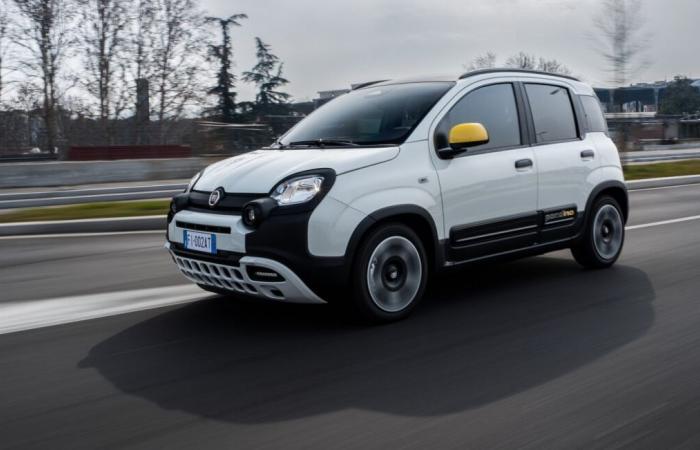 Stellantis pauses production of the Fiat Panda