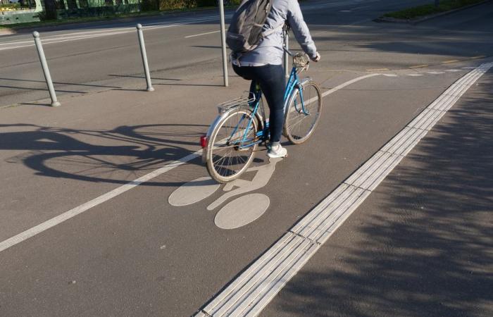 3 questions about the safety of bicycle users in Lille