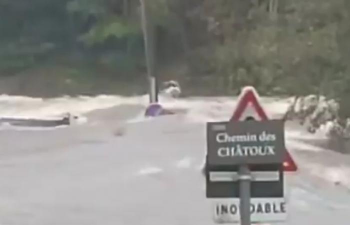 In Haute-Loire, the cow symbol of the historic flood did not survive