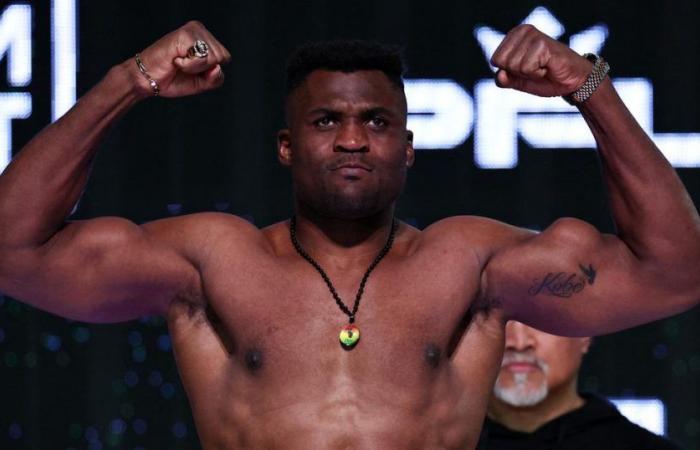 Francis Ngannou pulverizes Renan Ferreira for his return to MMA