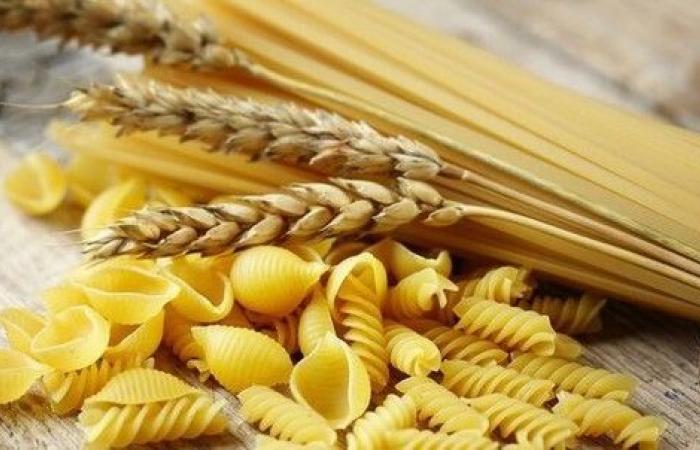 Italy a worldwide food export model at Paris’s SIAL fair – TopNews