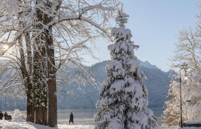 Weather expert gives decisive forecast for White Christmas