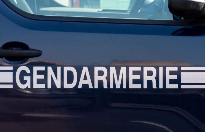 Three gendarmes and a 15-year-old girl injured during a refusal to comply