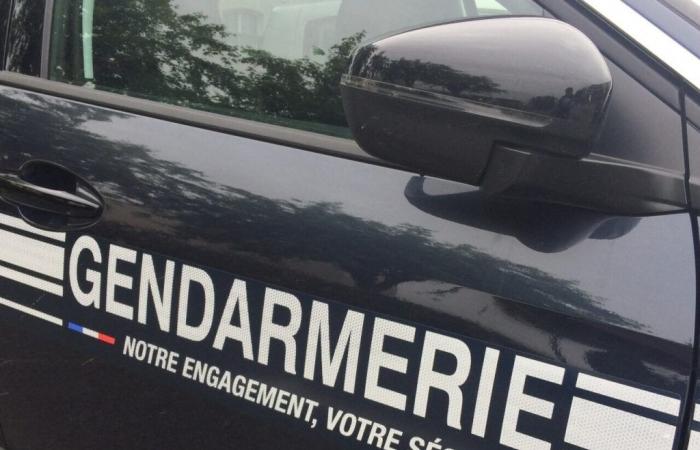 Vaucluse gendarmes searching for owners of stolen jewelry