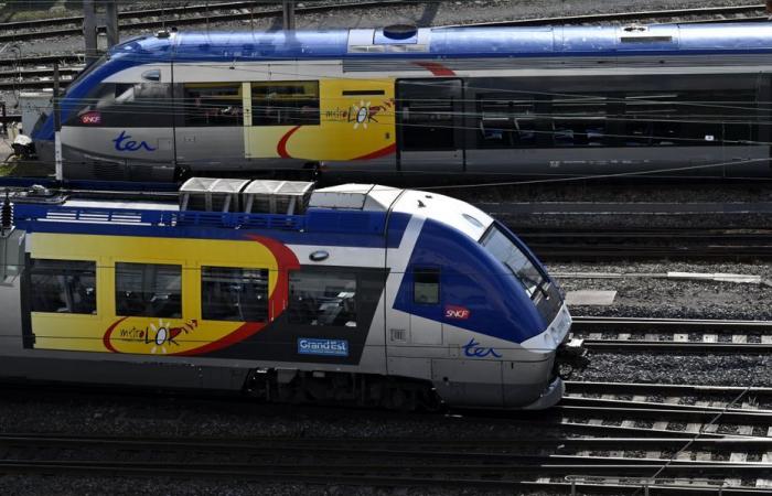 gradual resumption of SNCF traffic after a tragic incident near Nancy