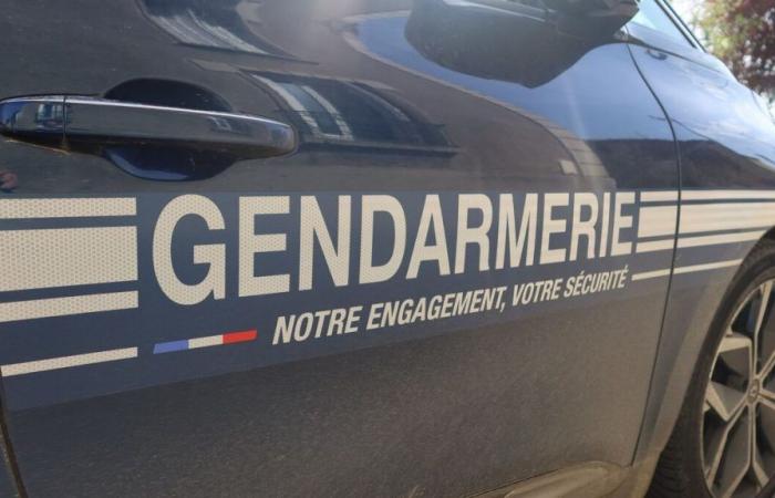 Grenoble: a man in his forties shot dead