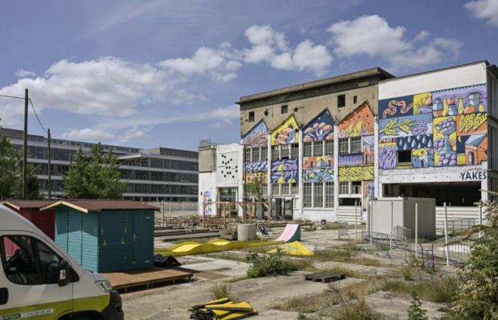 Metropolis of Lyon. With transitional urban planning, wastelands regain years of life