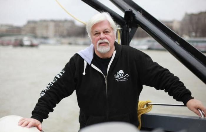 Paul Watson, founder of Sea Shepherd, requests political asylum in France; the question is “not resolved today”, affirms Paris