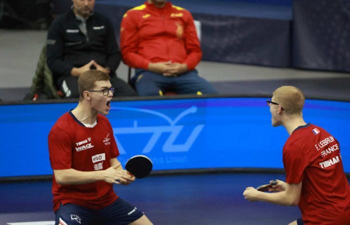 Table tennis – WTT Champions Montpellier: The elite arrives at Alexis and Félix Lebrun