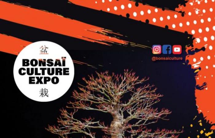 Bonsaï Culture Expo at the Parc Floral de Paris from Friday October 25 to Sunday October 27, 2024