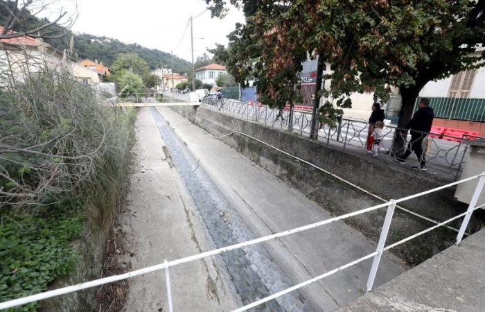 After the bad weather, residents of this district of Nice blame the State: but who is really responsible for the maintenance of this river, which almost overflowed?