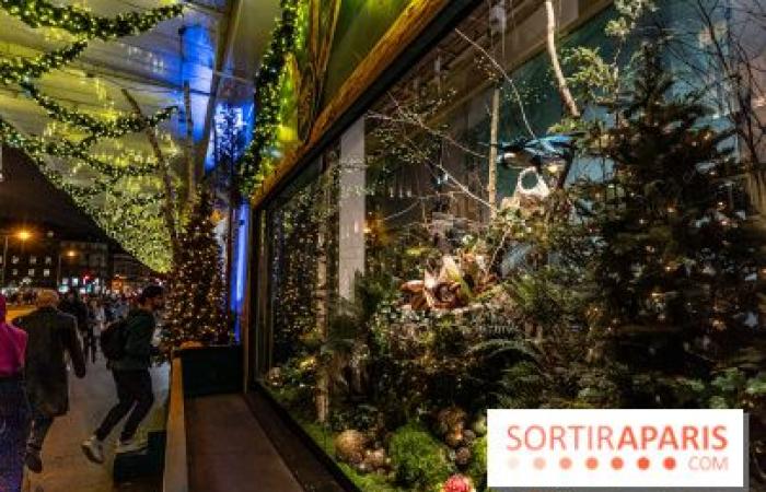 The BHV Marais 2024 Christmas windows and its inauguration