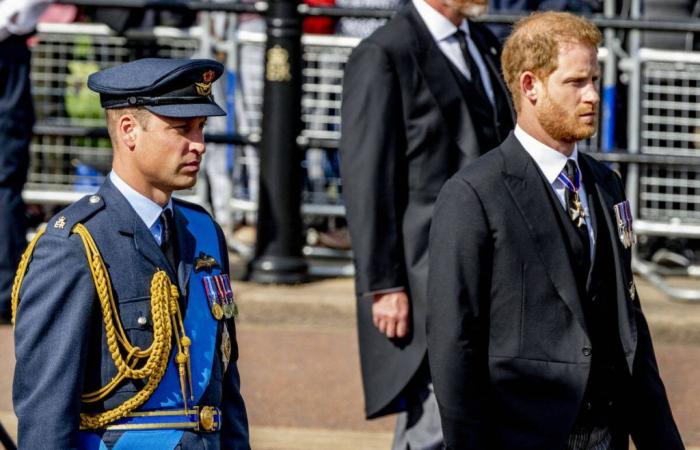 William and Harry: this star actor caught in the crossfire despite himself