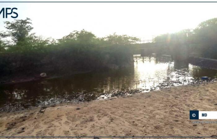 SENEGAL-FLOODS-PERSPECTIVES / The flooding of the Senegal River, an opportunity for the revitalization of the lands of Gandiol (producers) – Senegalese Press Agency