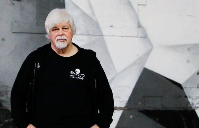 Paul Watson, the protector of whales, will become the next honorary citizen of Saint-Ouen