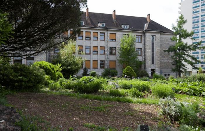 What future for the old botanical garden of Besançon? Park, “responsible” housing… Discover the rehabilitation project