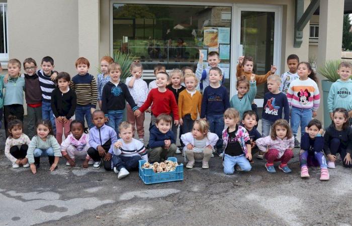 Bakers for a day, kindergarteners made their own bread