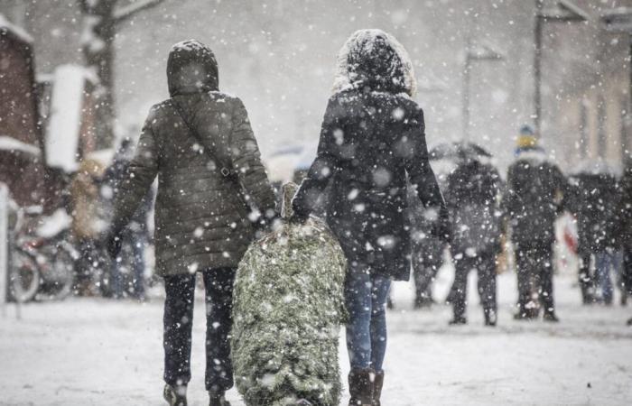 Forecast for a white Christmas 2024: Weather expert reveals percentage chance of snow