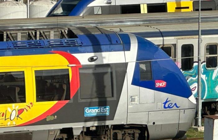 A 17-year-old teenager dies after being hit by a train near Nancy