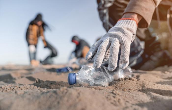 Some scientists think it’s better to leave plastic in the ocean: why?