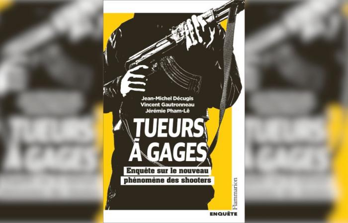 An IGPN investigation opened in Marseille for violation of the secrecy of the investigation for the book “Tueurs à agancies”