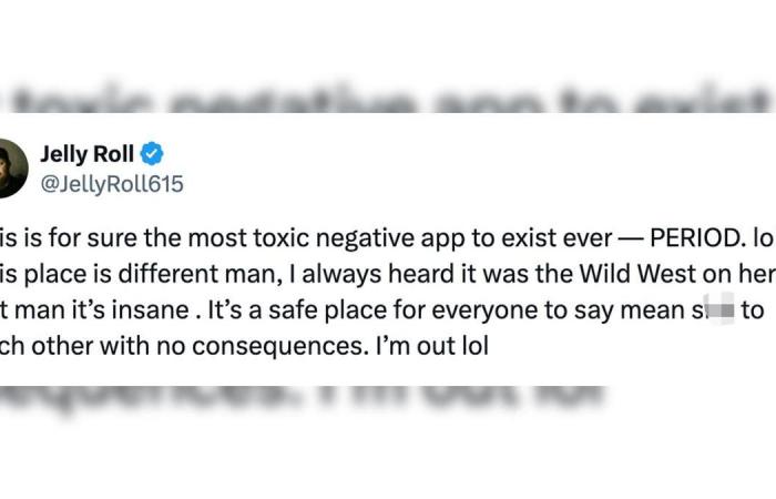 Country music star calls X ‘the most toxic negative app to exist’