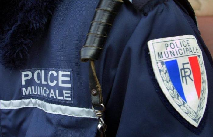 Drug trafficking in Marseille: “150 euros per day for a lookout…” The salaries of “little hands” revealed by the Court of Auditors