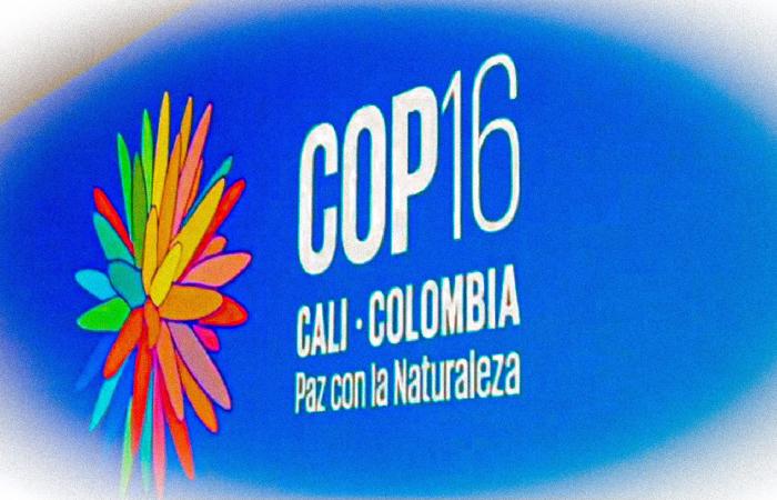 COP16 biodiversity: understanding the issues in 6 questions