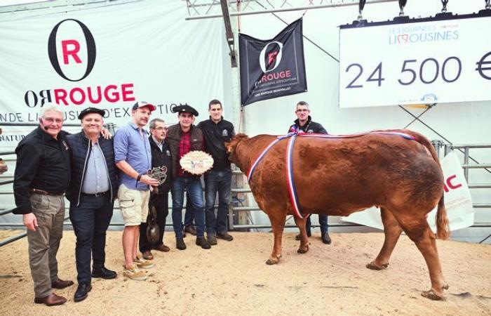 “Beautiful auctions” and a nice tribute: our photos from the last day of the 2024 Limousin Days in Limoges