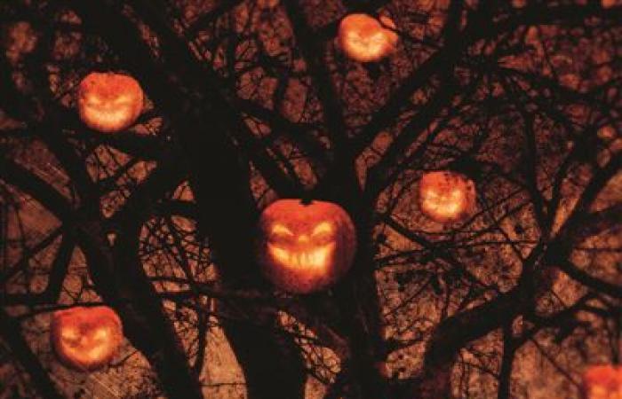 5 books for Halloween, you will love to shiver – Paris Select