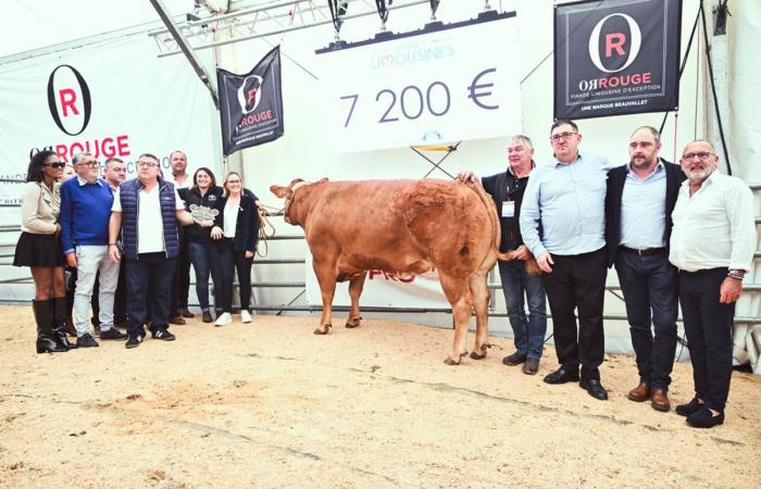 “Beautiful auctions” and a nice tribute: our photos from the last day of the 2024 Limousin Days in Limoges