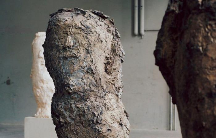 The raw sculptures of Hans Josephsohn celebrated at the MAM