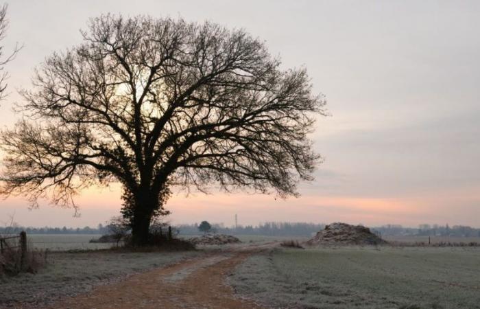 What weather is predicted for France this winter?