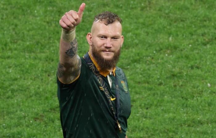 South Africa records RG Snyman, Mostert, Damian Willemse and Esterhuizen returns for autumn tour