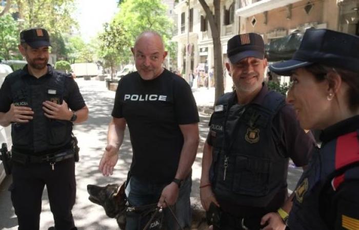 Pickpocketing, drug trafficking and elite interventions: immersion in the struggle of law enforcement in Spain