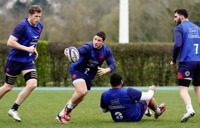 XV of France – Injured, Julien Marchand should miss the first test of the French team