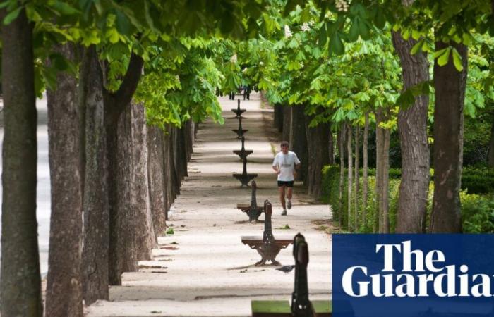 Urban green spaces have vital role in cutting heat-related deaths, study finds | Access to green space