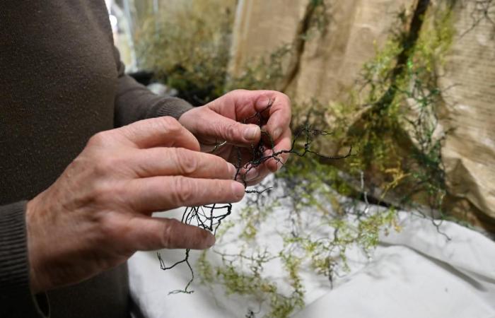 She creates astonishing plant sculptures and will exhibit at Rue des Métiers d'Art in Nontron, in Dordogne.