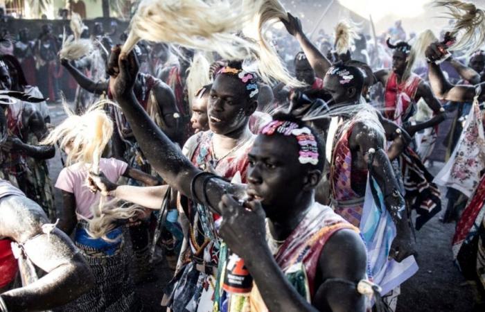 In Senegal, cancellation of the presentation of a controversial book on Casamance