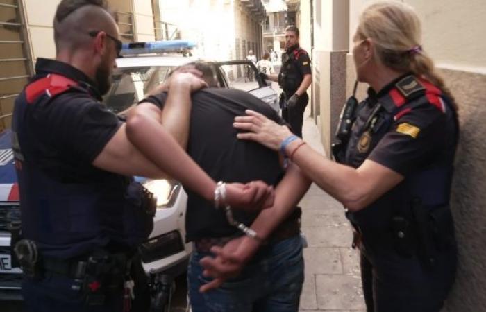 Pickpocketing, drug trafficking and elite interventions: immersion in the struggle of law enforcement in Spain