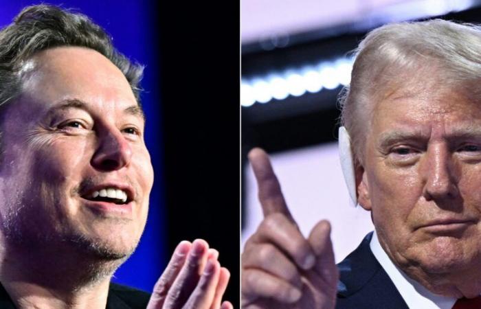 Elon Musk offers a million to a signatory of a pro-Trump petition every day: is it legal?