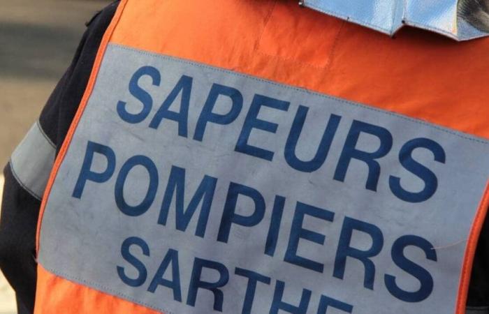 A 7-year-old girl killed in a road accident in Sarthe