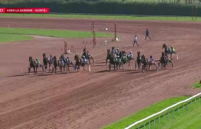 Quinté+: GD PRIX DE L’AGGLO.D’AGEN – GP DYNAVENA – AGEN LE PASSAGE – 10/23/2024: starters, predictions and results in videos – Race 1