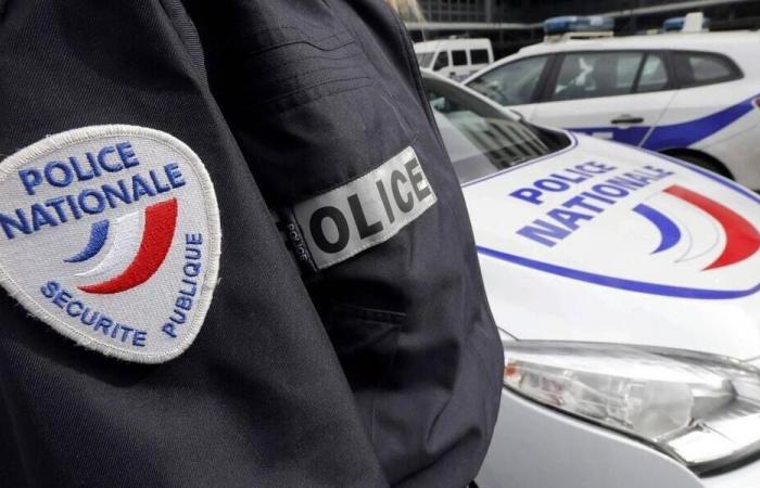 Femicide in Seine-et-Marne: arrested in July for domestic violence, he kills his