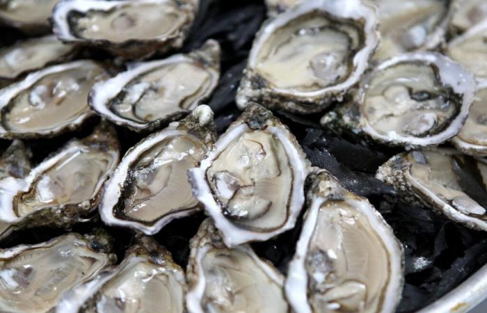 almost half of Nouvelle-Aquitaine oysters are produced in the department