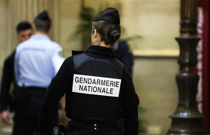 France: a 14-year-old teenager killed, his stepfather and mother arrested