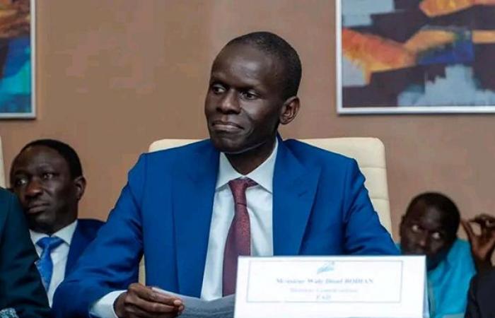 Appointments of Samba Ndiaye to Sn-Hlm: Waly Diouf Bodiang and Abass Fall want to dislodge the new Pca – Lequotidien