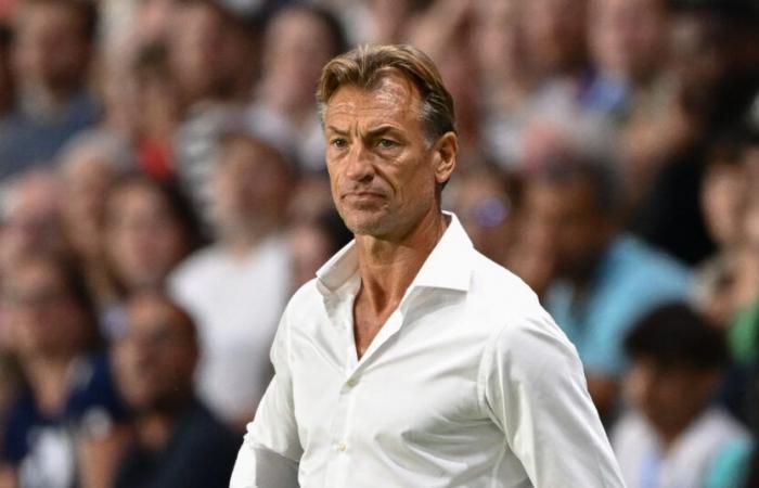 Hervé Renard, his big comeback is taking shape!