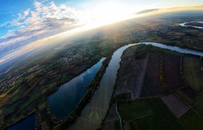 this resident of Gironde managed to film common cranes up close